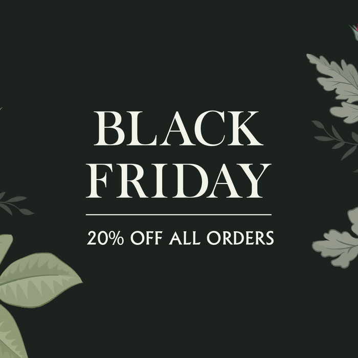 Black Friday Super Sale - 20% Off Every Order