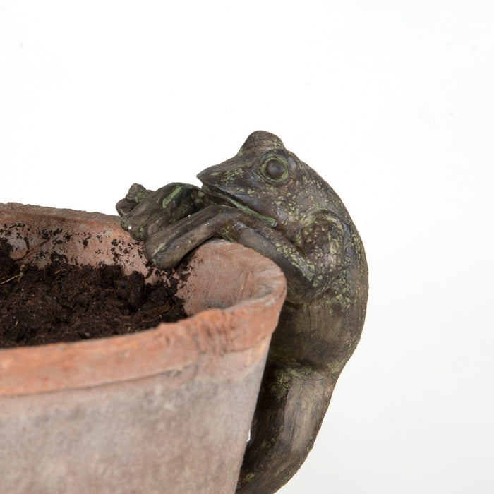 Plant Pot Hanger - Frog