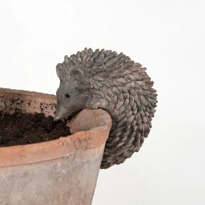 Plant Pot Hanger - Hedgehog