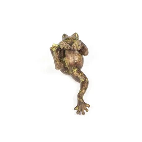 Plant Pot Hanger - Frog