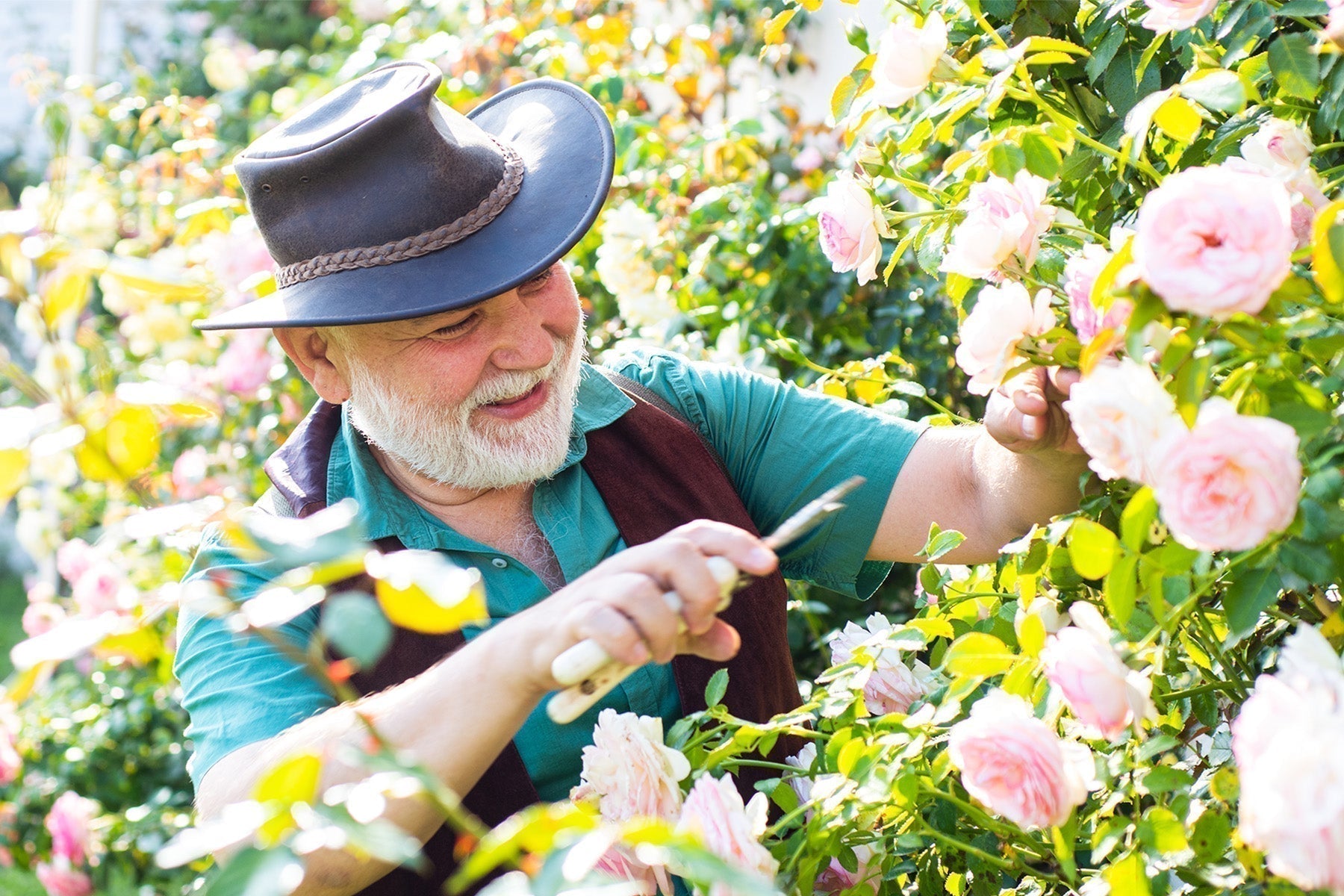 Gardening Gifts For Father’s Day