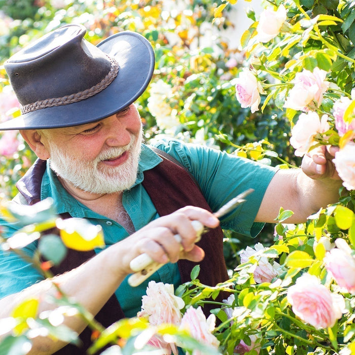 Gardening Gifts For Father’s Day