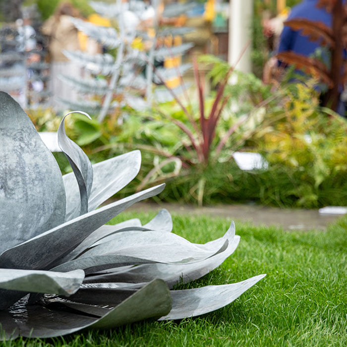 Highlights of May: RHS Chelsea Flower Show & Garden Project update
