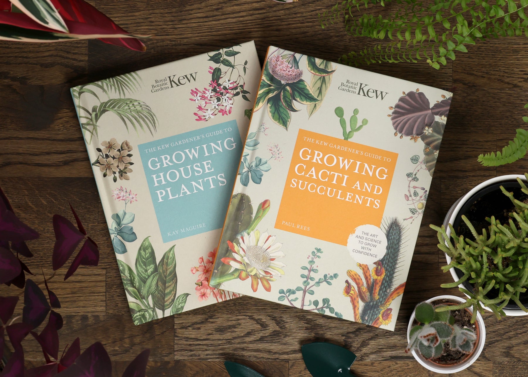 Thoughtful Gift Ideas for Garden Lovers: Games, Books, and More