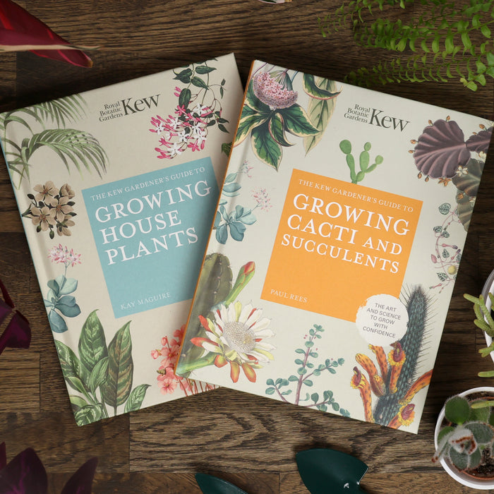 Thoughtful Gift Ideas for Garden Lovers: Games, Books, and More