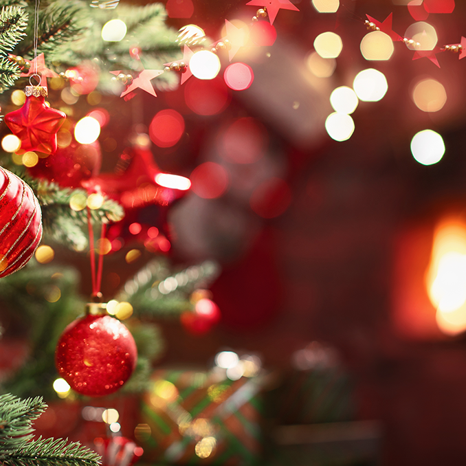 Gardening Gifts for Christmas: Inspired by the Gifts of the Magi