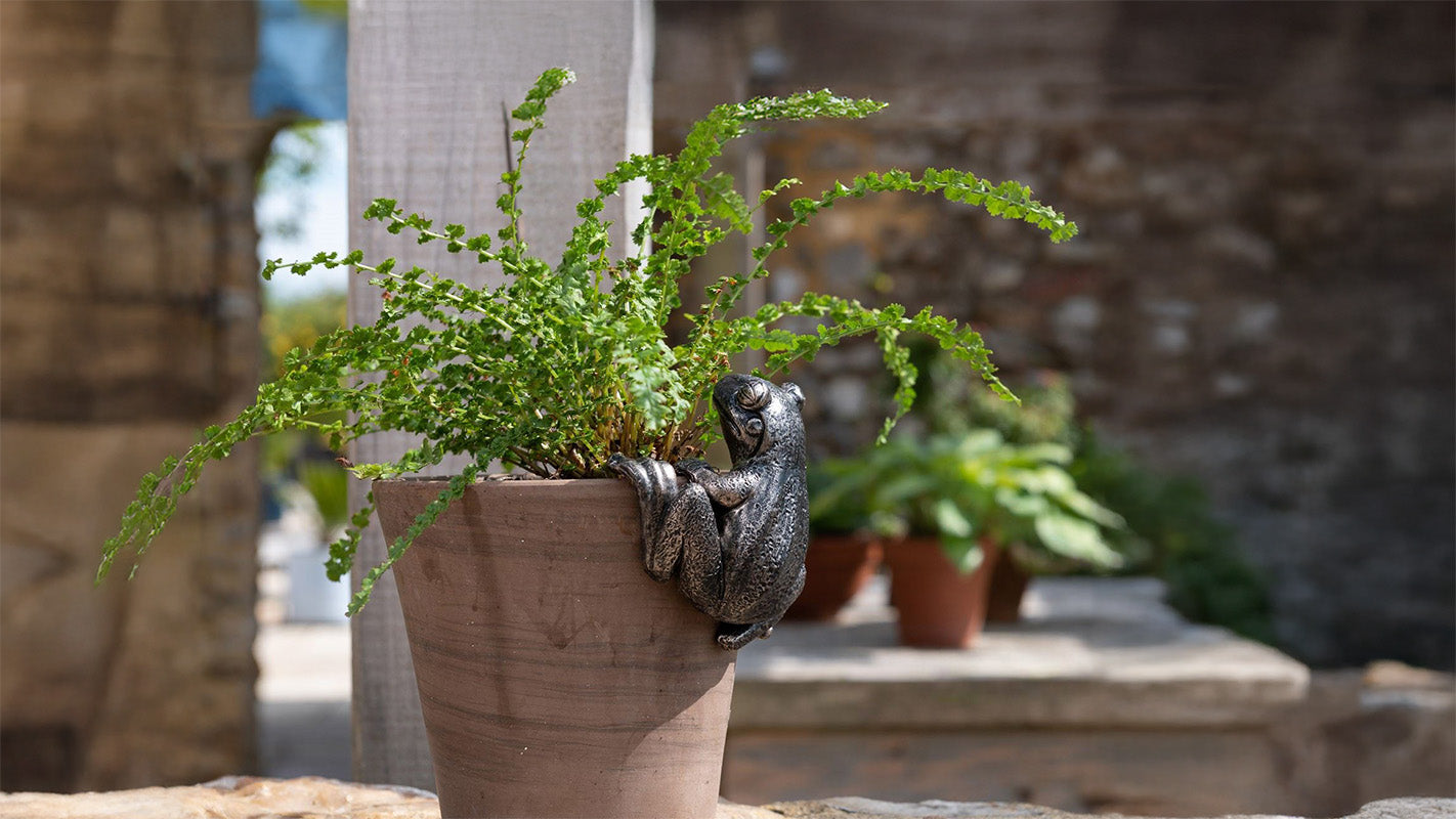 A plant pot with a decorative frog pot hanger attached to it in a garden.
