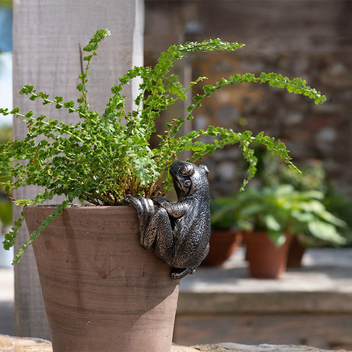 A plant pot with a decorative frog pot hanger attached to it in a garden.