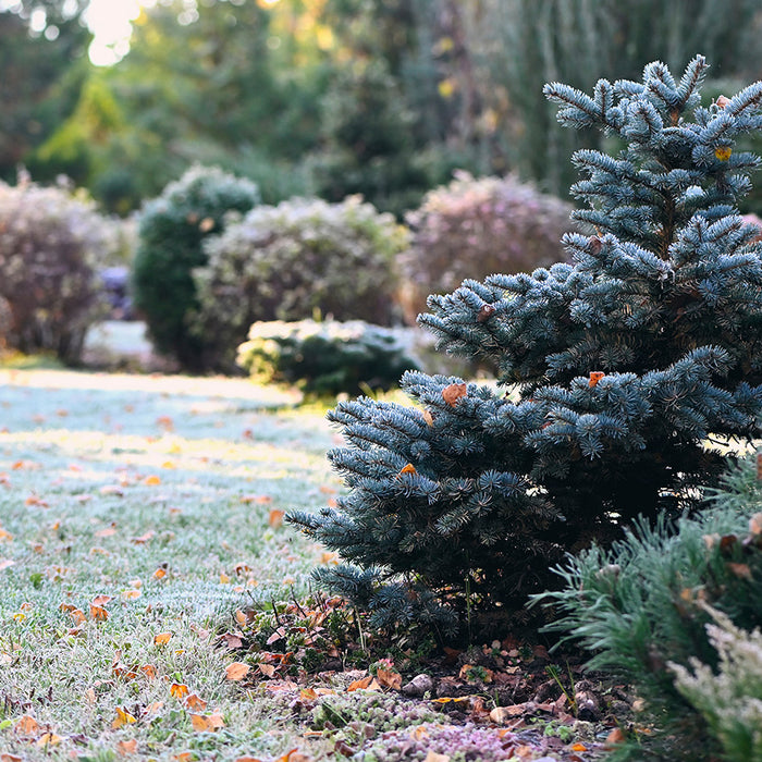 January Joys: Exciting Updates & Our Pick of the Month!