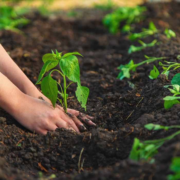 Nurture And Protect Your Most Important Gardening Tool, Your Hands