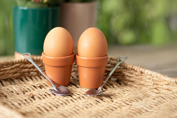 Gardening Homeware