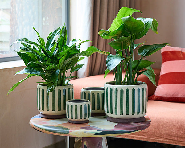 Decorative Pots and Planters — Gardening Gifts Co.