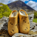 Backdoorshoes Footwear - Women's Clogs - Bees