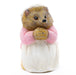 Beatrix Potter Plant Pot Accessories - Cane Companions - Mrs Tiggy-Winkle