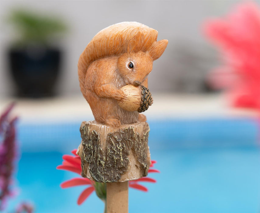 Beatrix Potter Plant Pot Accessories - Cane Companions - Squirrel Nutkin