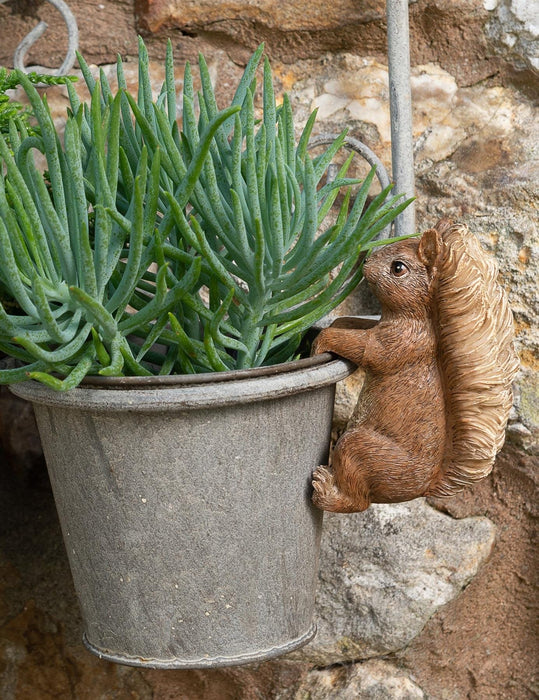 Beatrix Potter Plant Pot Accessories - Plant Pot Hanger - Squirrel Nutkin