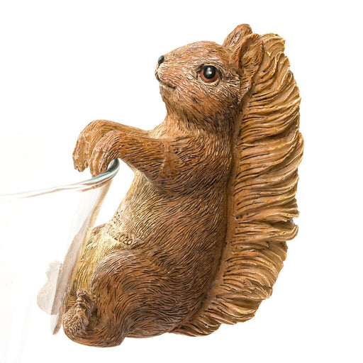 Beatrix Potter Plant Pot Accessories - Plant Pot Hanger - Squirrel Nutkin