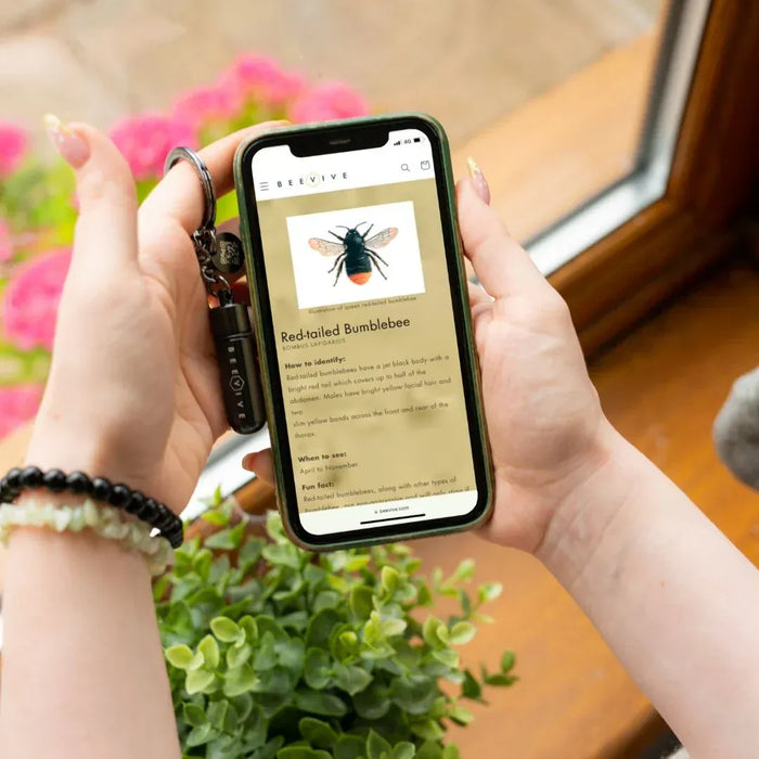 Beevive Novelty Gifts - Bamboo Bee Revival Kit with Bee ID Tag