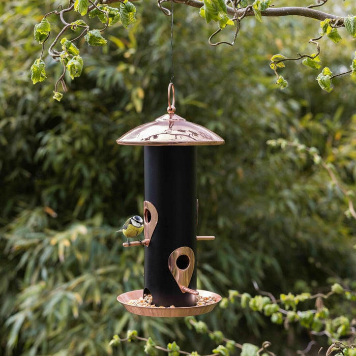 Best for Birds Bird Baths & Feeders - Bird Feeder Seed Dispenser - Black Copper