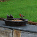 Best for Birds Bird Baths & Feeders - Decorative Ceramic Bird Bath with Bird Feed