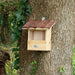 Best for Birds Bird Houses & Tables - Bark Roof Bird House - Robin