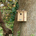 Best for Birds Bird Houses & Tables - Bark Roof Bird House - Winter Wren