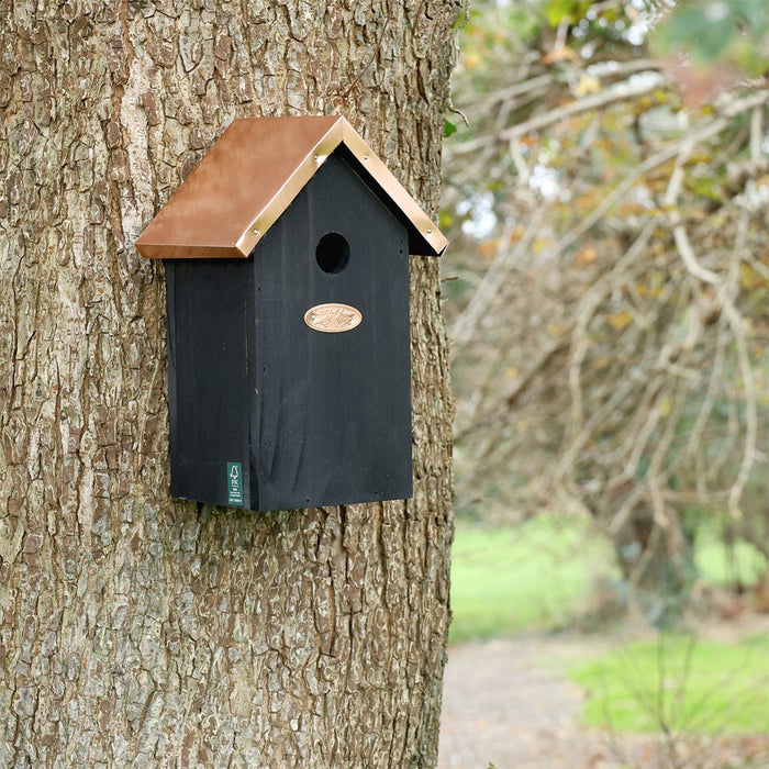 Best for Birds Bird Houses & Tables - Black Copper Bird House - Blue Tit