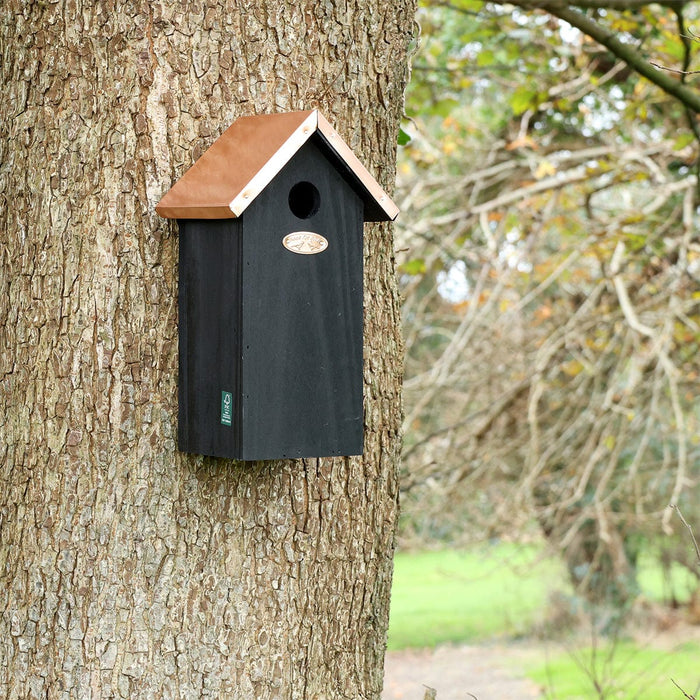 Best for Birds Bird Houses & Tables - Black Copper Bird House - Great Tit