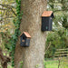 Best for Birds Bird Houses & Tables - Black Copper Bird House - Winter Wren