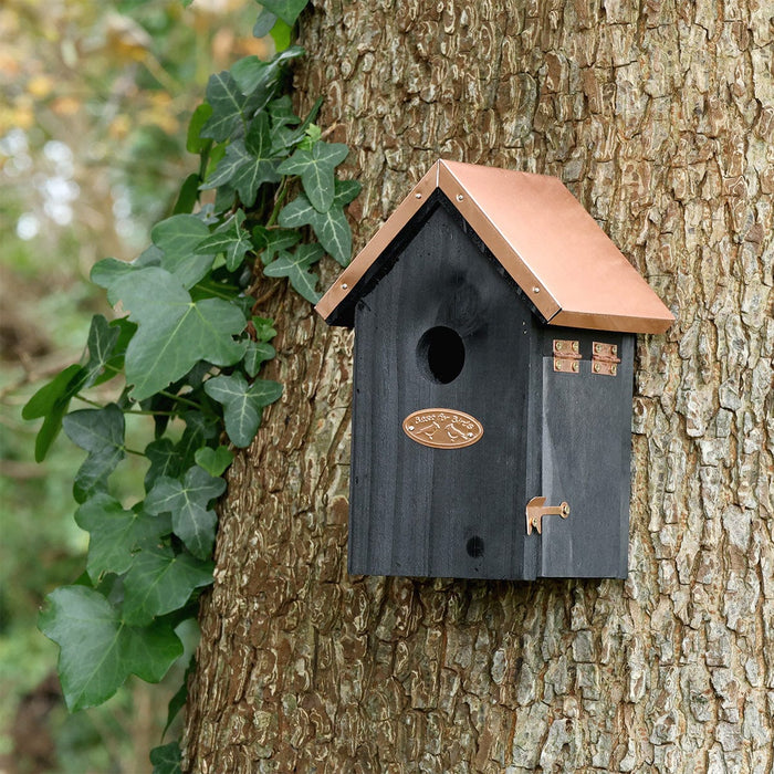 Best for Birds Bird Houses & Tables - Black Copper Bird House - Winter Wren
