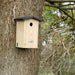 Best for Birds Bird Houses & Tables - Wooden Bird House - Blue Tit