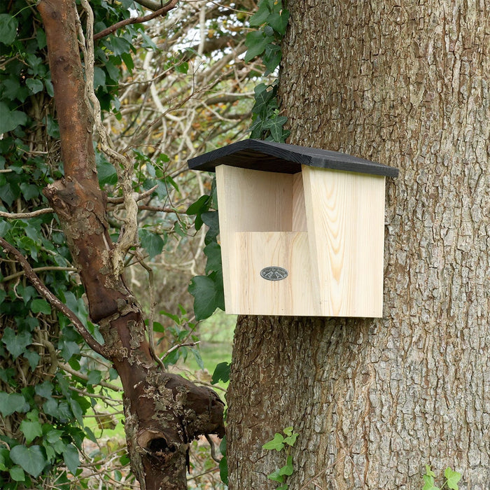 Best for Birds Bird Houses & Tables - Wooden Bird House - Robin