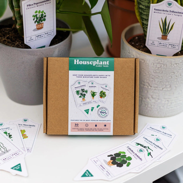 Bubblegum Stuff Indoor Gardening - Houseplant Care Tags - 30 Species of Indoor Plants