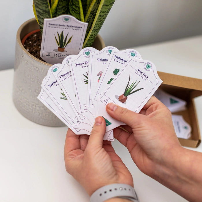 Bubblegum Stuff Indoor Gardening - Houseplant Care Tags - 30 Species of Indoor Plants