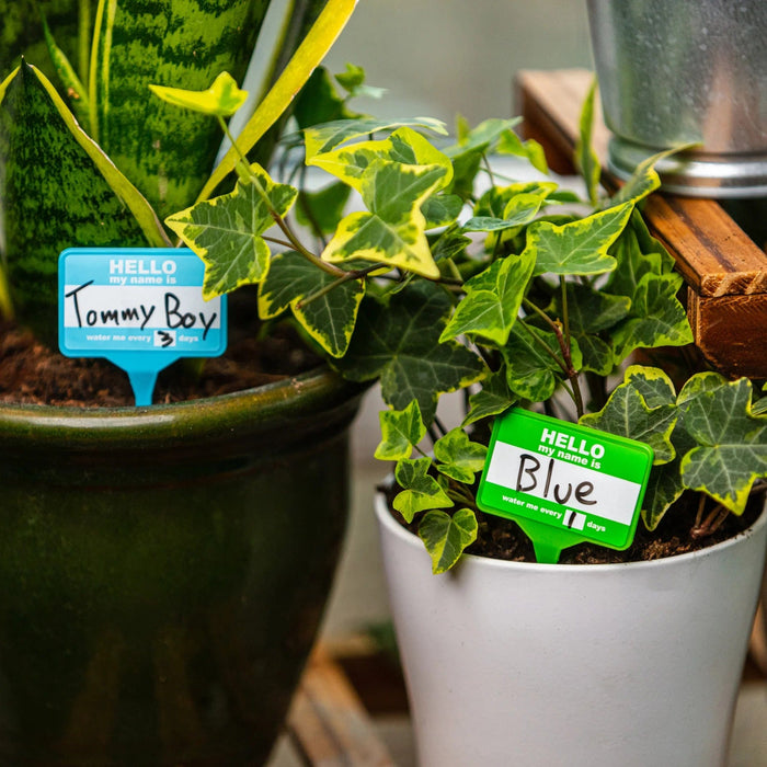 Bubblegum Stuff Indoor Gardening - Plant Name Badges - Name Tags for Indoor Plant Pots