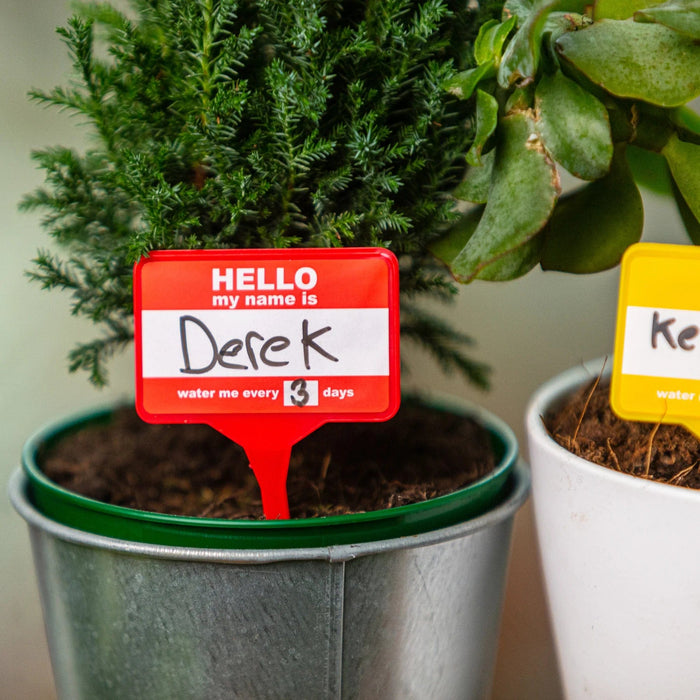 Bubblegum Stuff Indoor Gardening - Plant Name Badges - Name Tags for Indoor Plant Pots