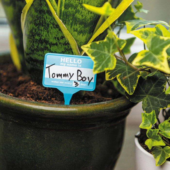 Bubblegum Stuff Indoor Gardening - Plant Name Badges - Name Tags for Indoor Plant Pots