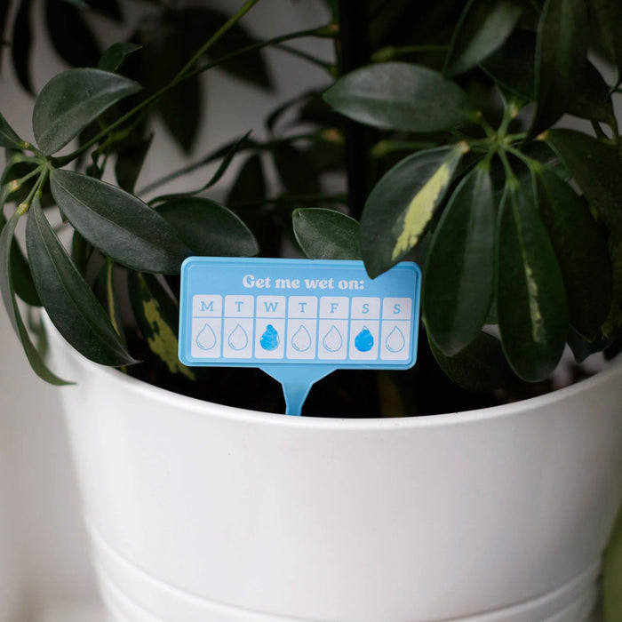Bubblegum Stuff Indoor Gardening - Thirsty AF - 12x Houseplant Watering Schedule Tags
