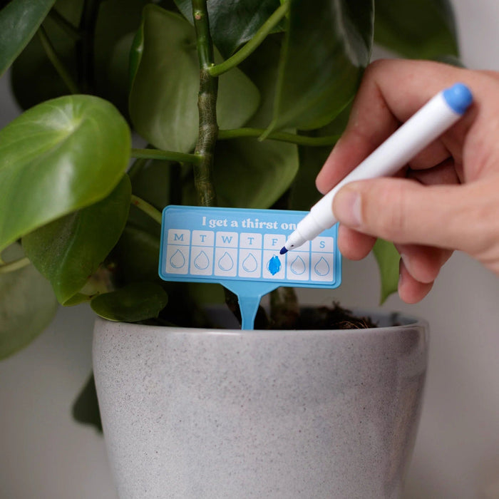Bubblegum Stuff Indoor Gardening - Thirsty AF - 12x Houseplant Watering Schedule Tags