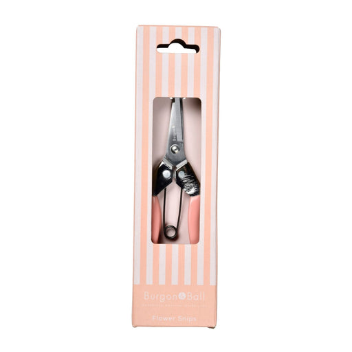Burgon & Ball Garden Tool Gift Sets - Collector Flower Snips Blush - Gift Boxed
