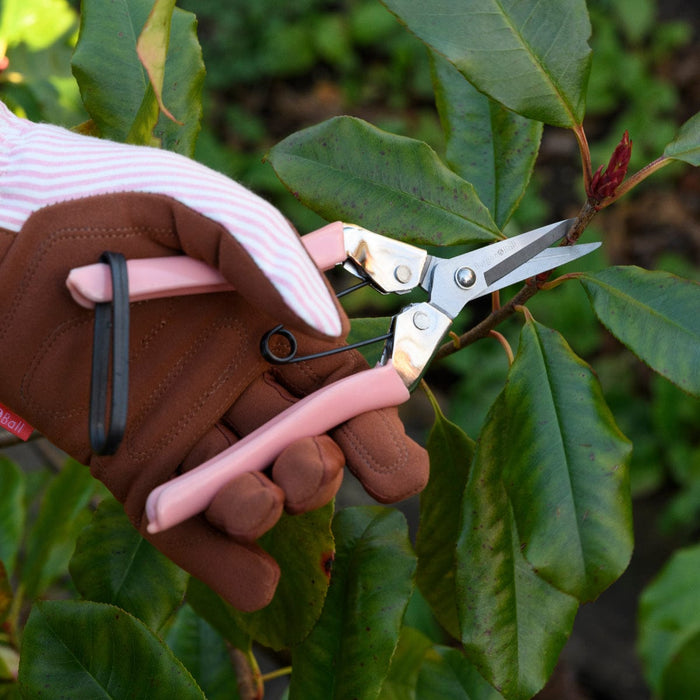 burgon and ball garden scissors Burgon & Ball Flower Snips Blush