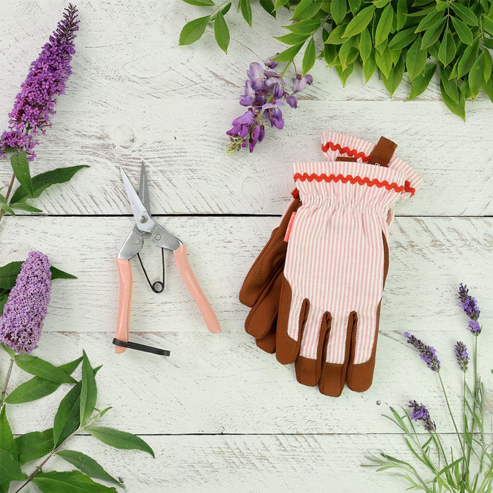Burgon & Ball Garden Tool Gift Sets - Flower Snips & Blush Striped Glove Set