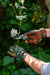 Burgon & Ball Garden Tool Gift Sets - Garden Kneeler & Gloves Bundle - Woodland Wonders