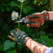 Burgon & Ball Garden Tool Gift Sets - Garden Kneeler & Gloves Bundle - Woodland Wonders