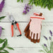 Burgon & Ball Garden Tool Gift Sets - Secateur & Blush Striped Glove Set