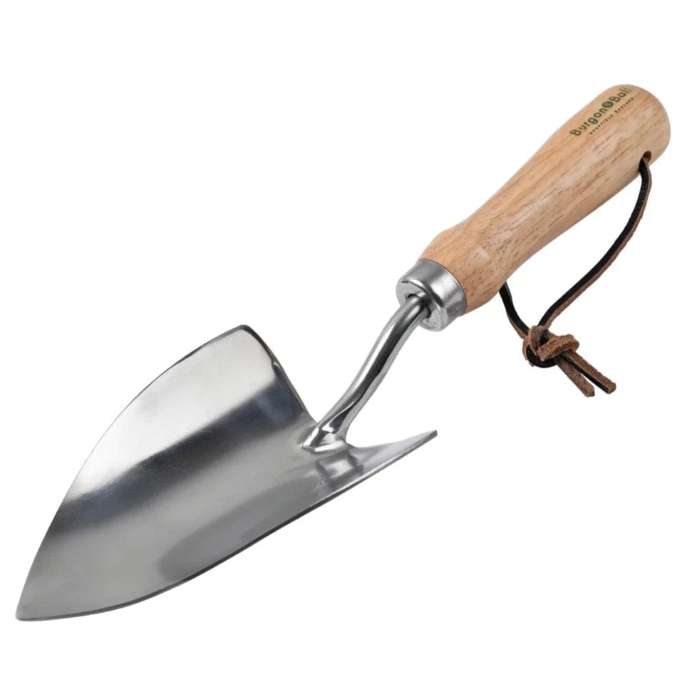 Buy Bern-type Plastering Trowel (5771001403) | WÜRTH