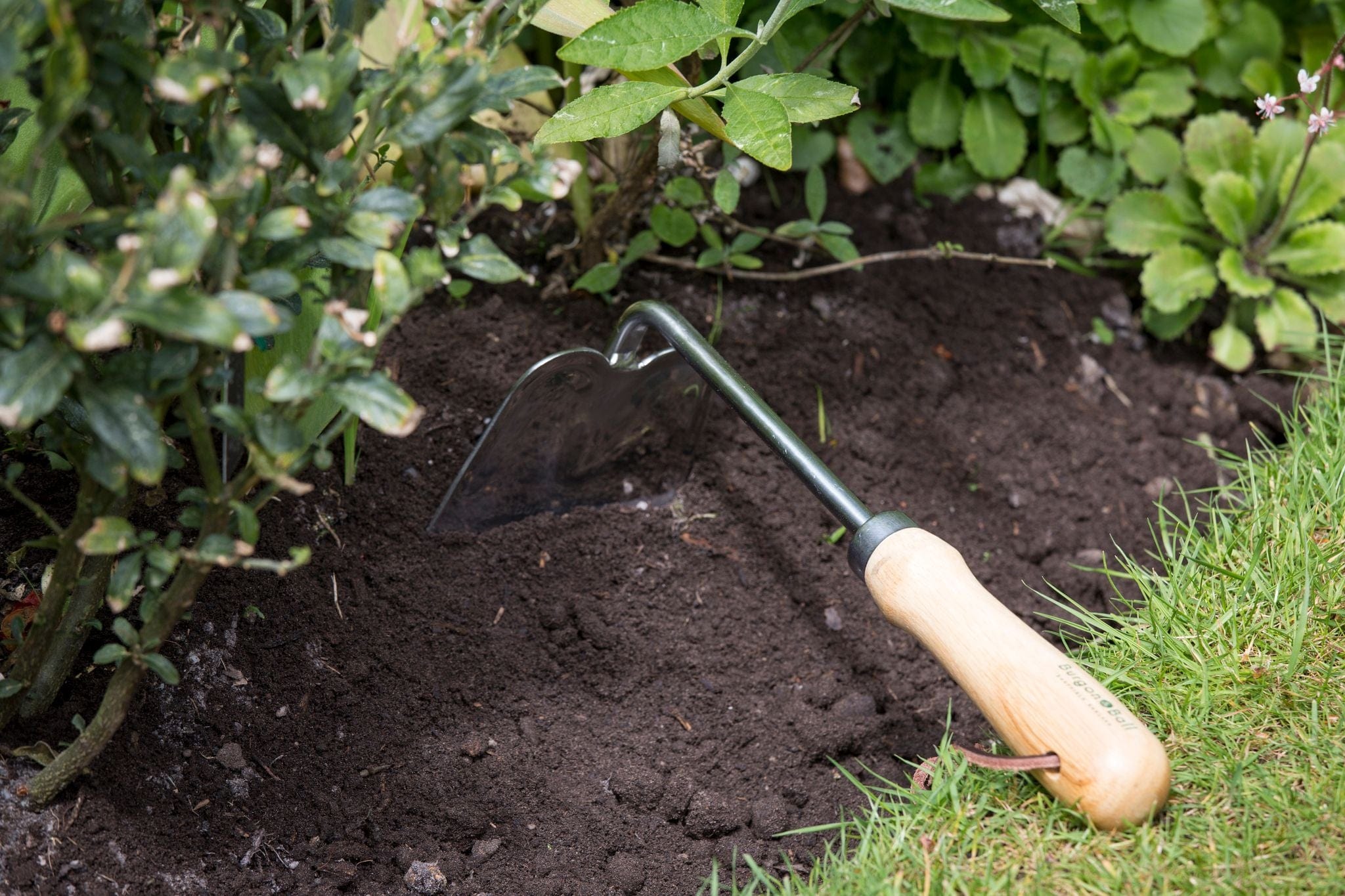 Burgon & Ball Hand Hoe - RHS Endorsed — Gardening Gifts Co.