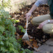 Burgon & Ball Garden Tools & Equipment - Mid Handled Shrub Rake - RHS Endorsed