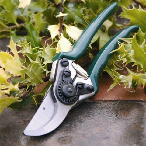 Burgon & Ball Garden Tools & Equipment - Professional Bypass Secateurs - RHS Endorsed