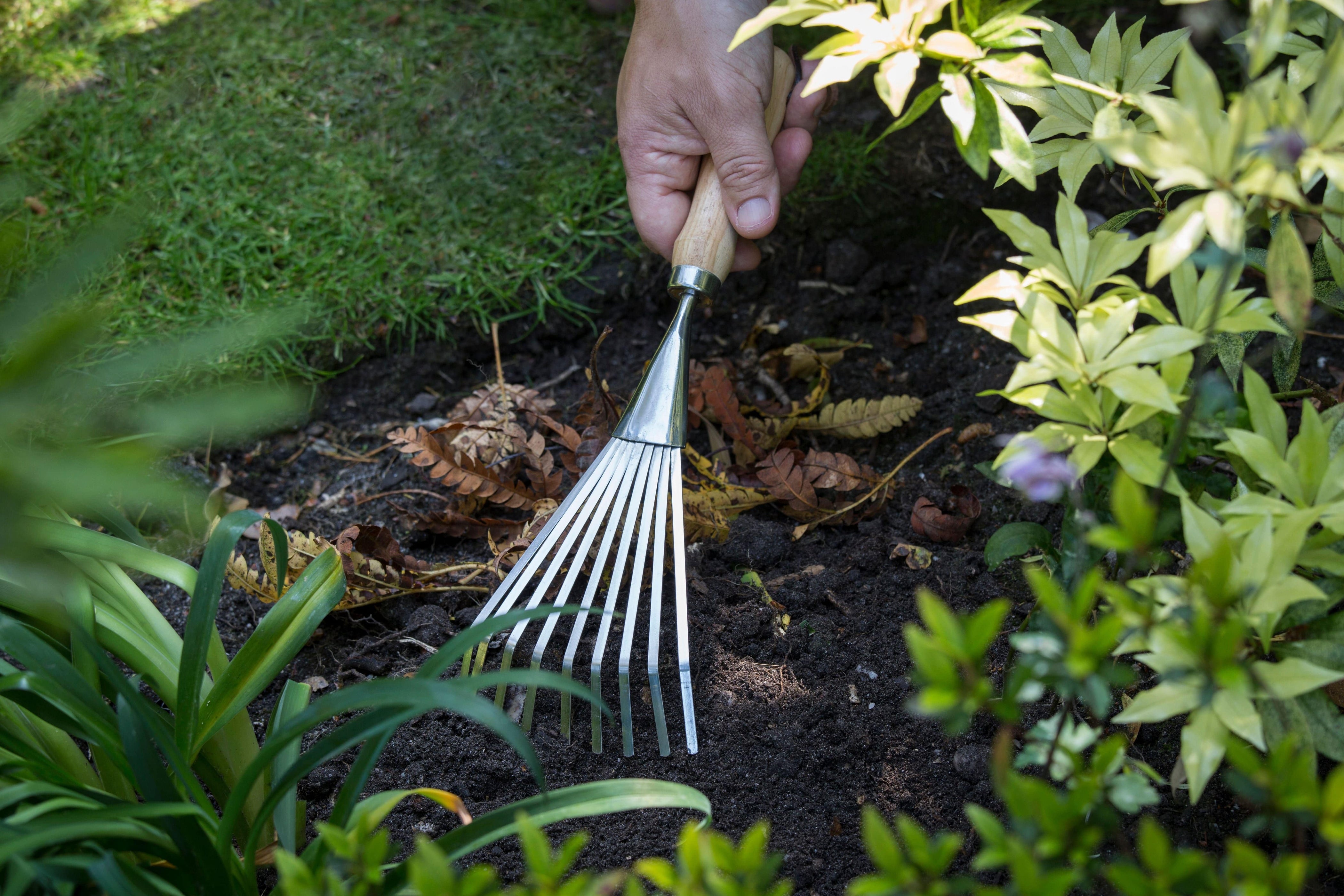 Burgon & Ball Shrub Rake - RHS Endorsed — Gardening Gifts Co.